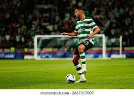 佩蒂特：凯塞多还在布莱顿的时候，我曾希望枪手签下他和麦卡