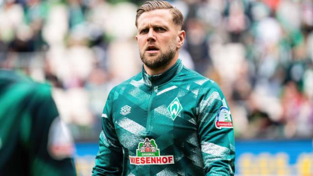 阿里纳斯在 阿里纳斯在