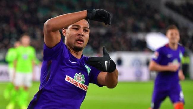 共享了顶级 共享了顶级